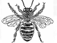 e160fcab b50f 4e5a a140 d30c4128ea12 image jpeg